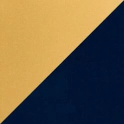 Canary Glam/Contemporary Vanity Stool - LumiSource Gold/white Velvet -Ottomans Official Shop unnamed file 10403