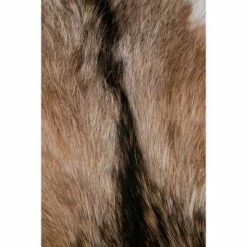 Durant Natural Hide Stool Brown - East At Main -Ottomans Official Shop unnamed file 252