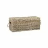Zinnia Rattan Storage Bench Gray - East at Main -Ottomans Official Shop unnamed file 7916