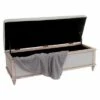 Abilene Storage Ottoman - Beige - Christopher Knight Home