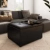 Franklin Small Coffee Table Storage Ottoman Tanners Brown - WyndenHall -Ottomans Official Shop unnamed file 9802